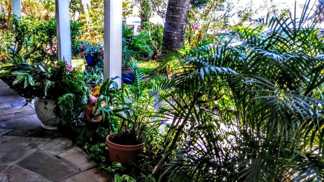Boca Ciega Bay Apartment سانت بيتي بيتش المظهر الخارجي الصورة